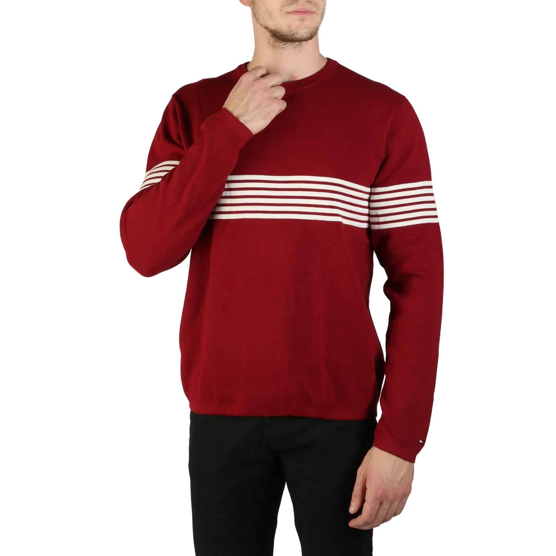 Tommy Hilfiger Sweaters - Fizigo