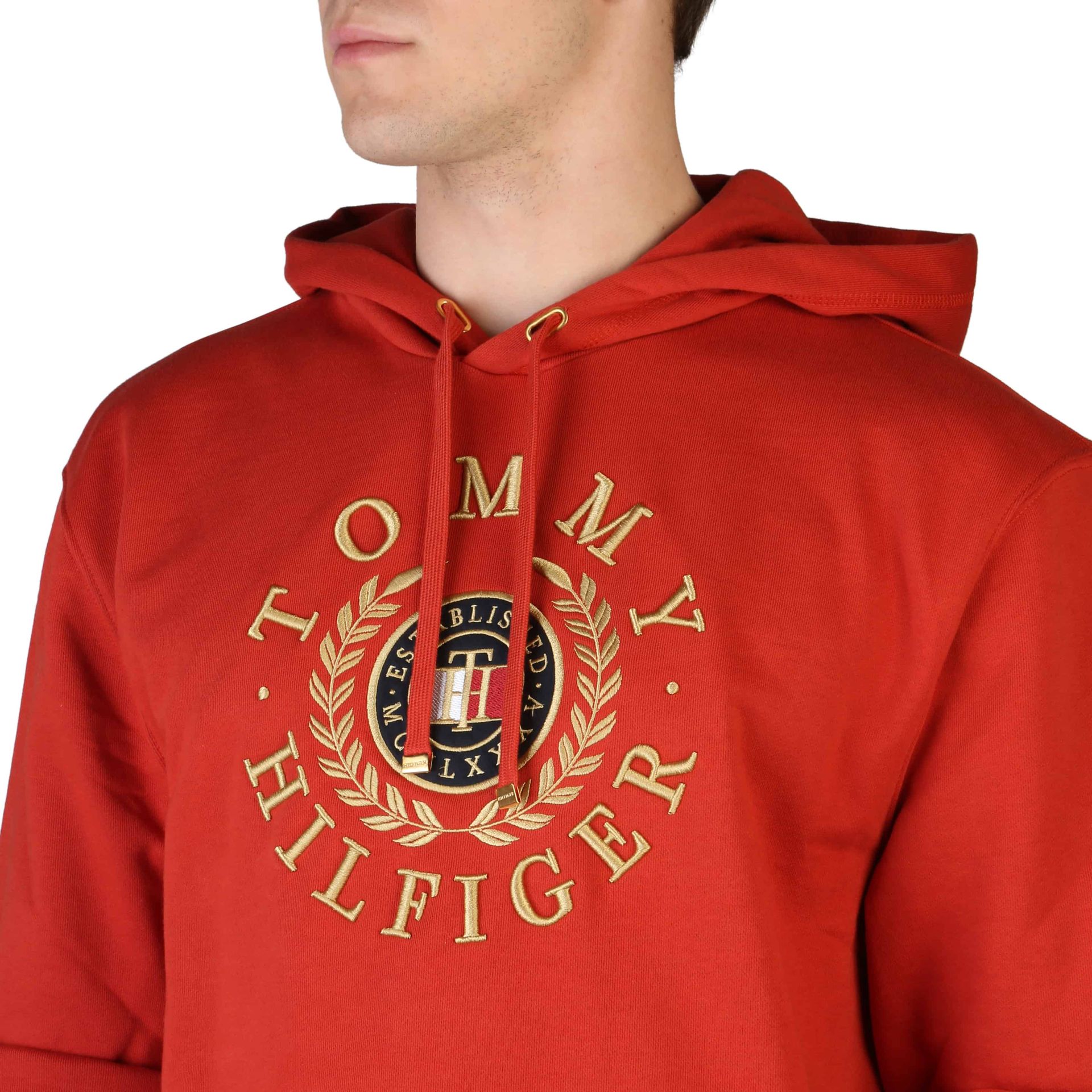 Tommy Hilfiger Sweatshirts - Fizigo